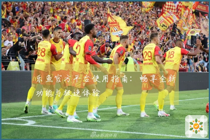 乐鱼官方平台使用指南：畅享全新功能与极速体验