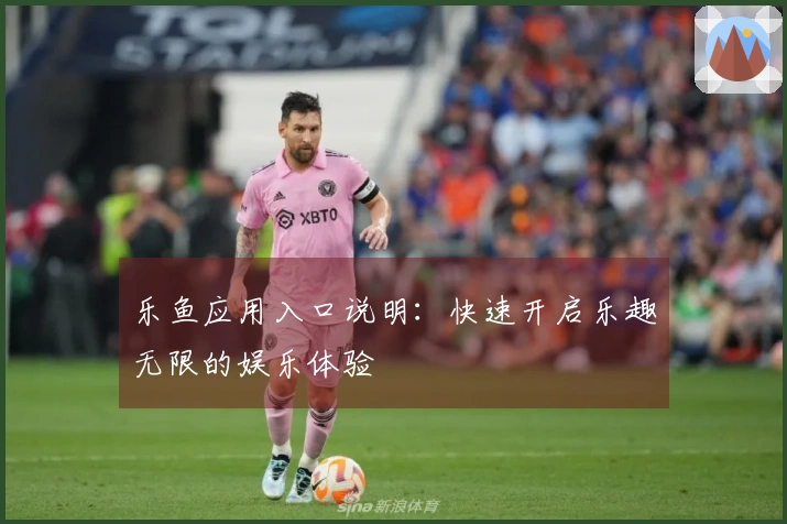 乐鱼应用入口说明：快速开启乐趣无限的娱乐体验