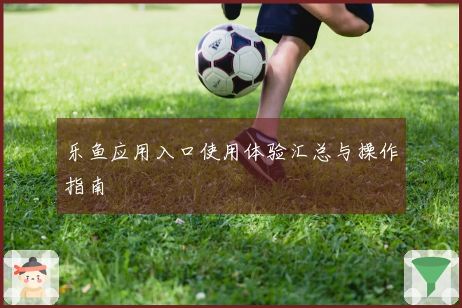 乐鱼应用入口使用体验汇总与操作指南